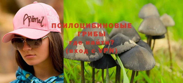 тгк Горнозаводск