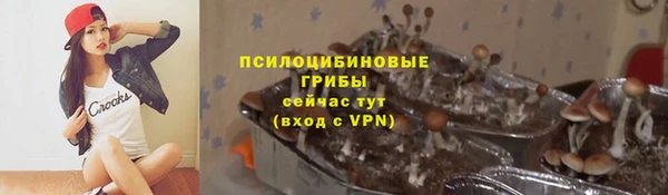 mdpv Гусиноозёрск