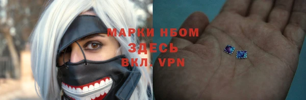 тгк Гусь-Хрустальный