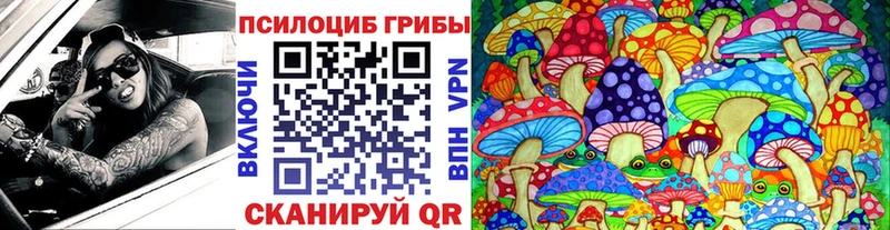цены наркотик  Спас-Деменск  Псилоцибиновые грибы мухоморы 